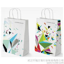 精美彩印紙袋的市場概覽 價格、批發與廠家選擇